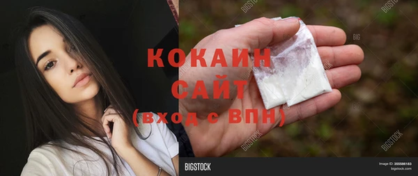 мяу мяу мука Горняк