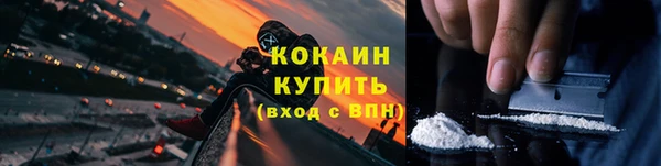 мяу мяу мука Горняк