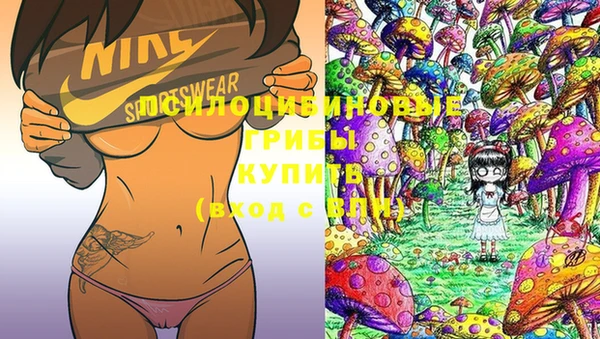 мяу мяу мука Горняк
