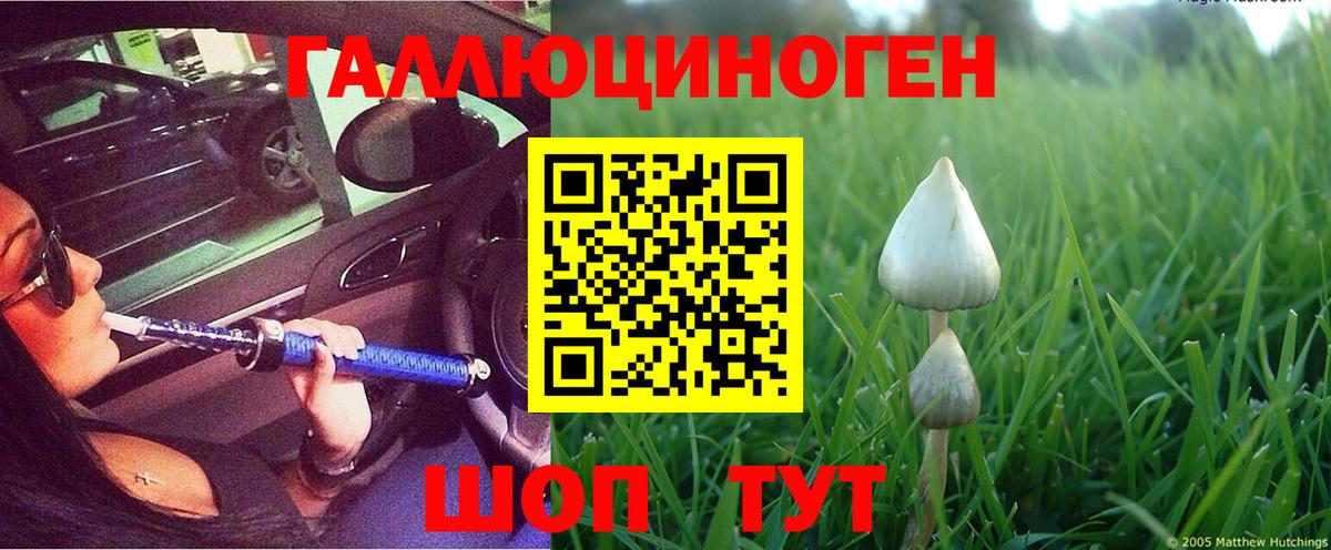 Новомосковск  Псилоцибиновые грибы GOLDEN TEACHER  Вход с VPN 